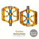 X12S Gold eloxiert